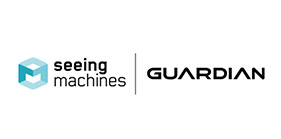Seeing Machines